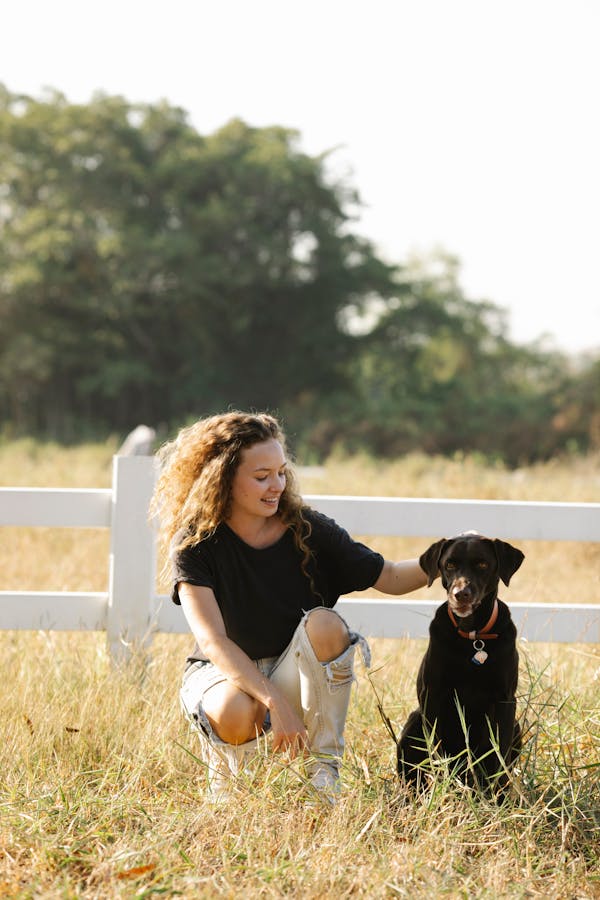 black Labrador Retriever temperament