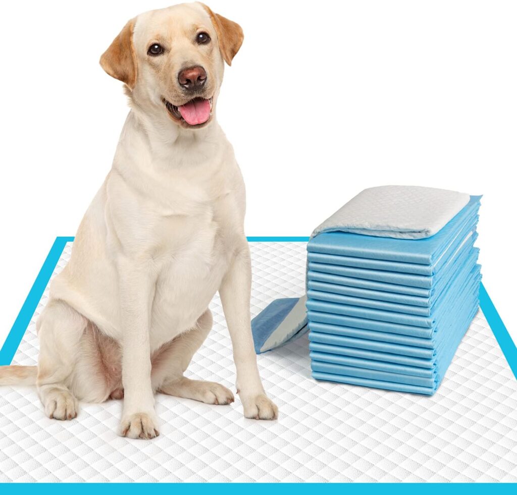 Dog Pee Pads for Balcony Use: A Pet Owner’s Must-Have