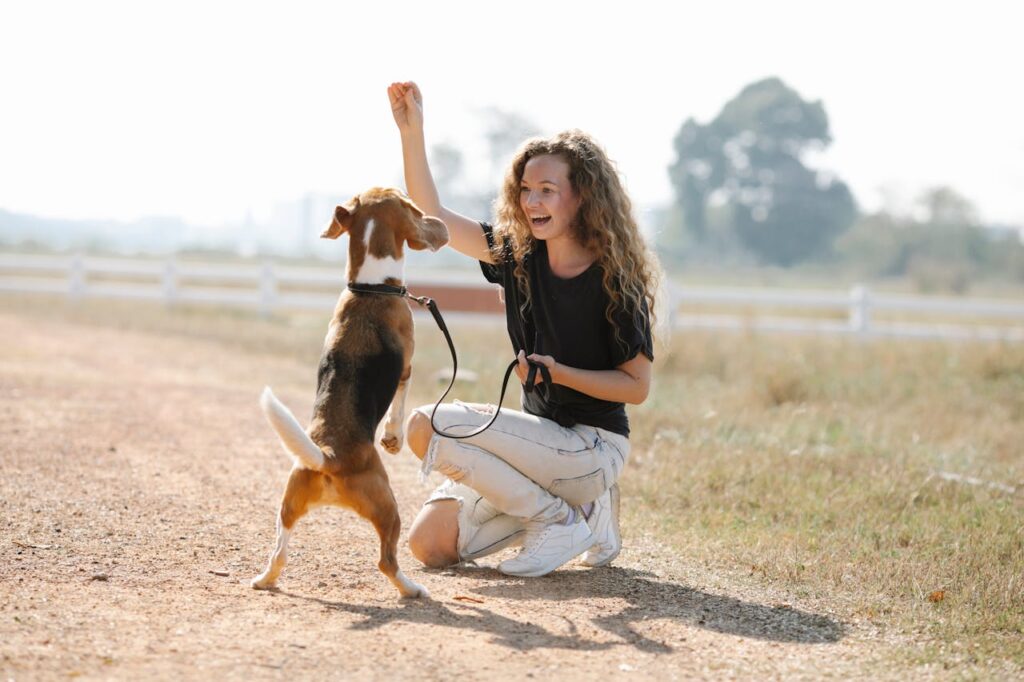 Advanced Tricks to Teach Your Dog: Effective Training Tips