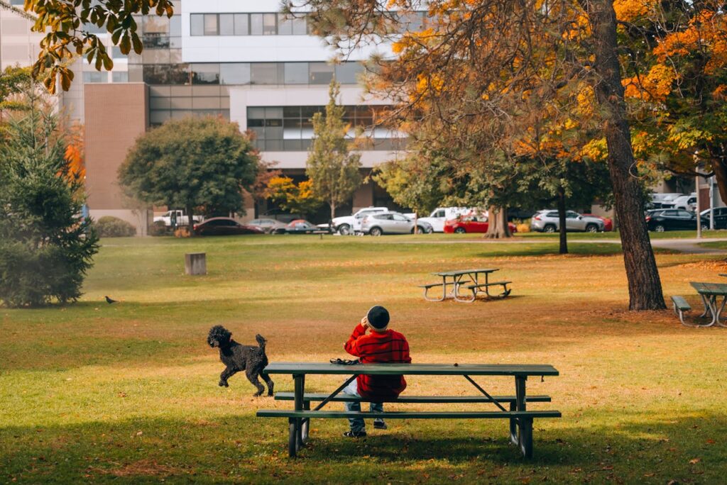 How much activity do dogs need