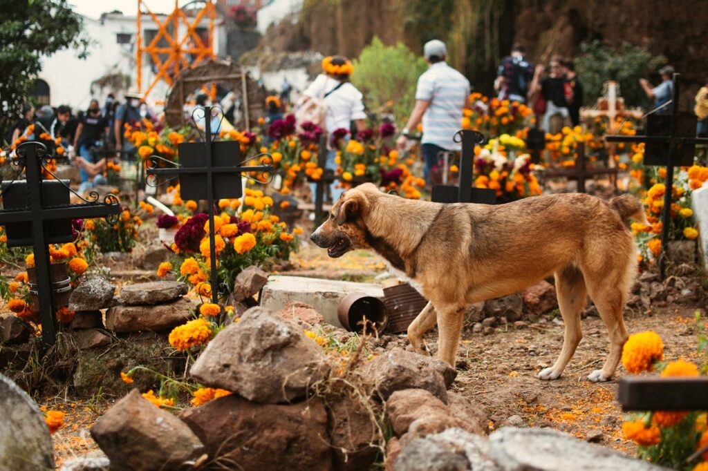 Are Dogs Allowed in Cemeteries? What You Need to Know