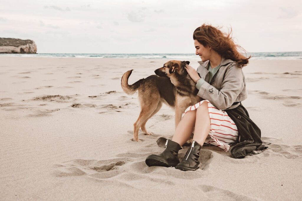 Benefits of Taking Dogs to the Beach