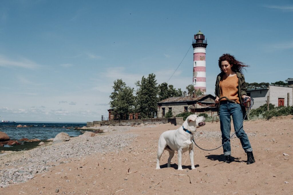 Benefits of Taking Dogs to the Beach