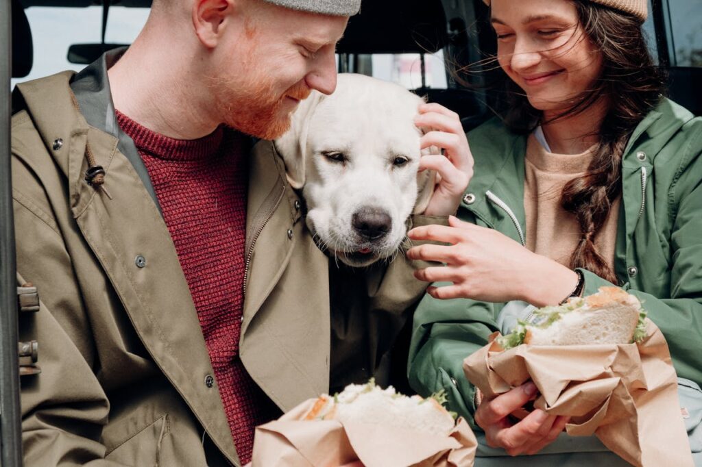 Can Dogs Eat BBQ Chips? Risks and Alternatives