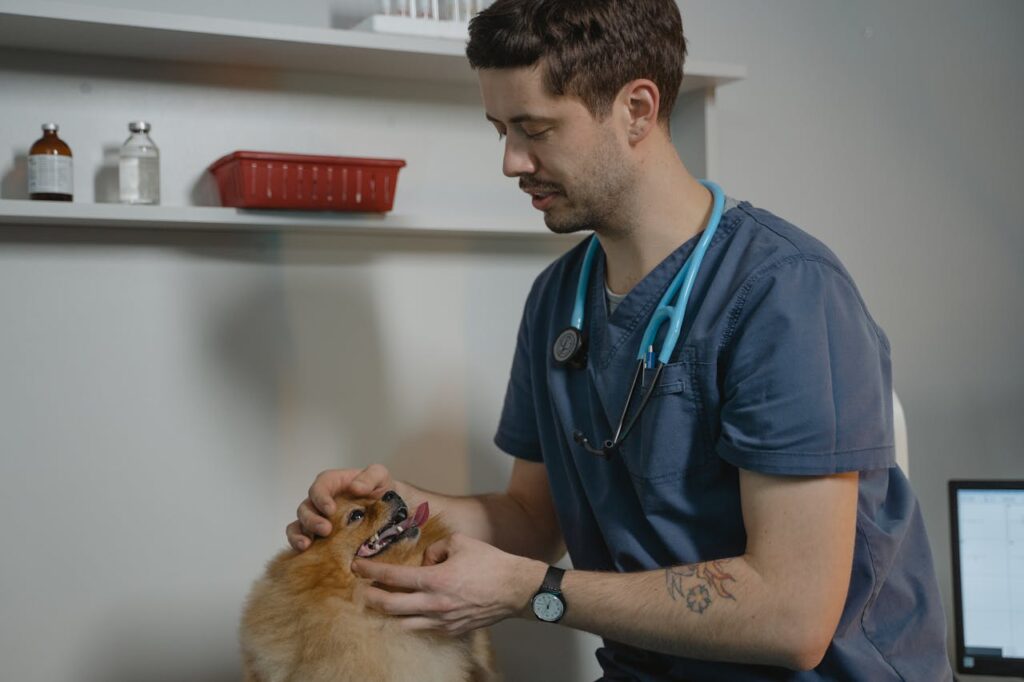 Do Dogs Have Tonsils? Understanding Their Role and Importance