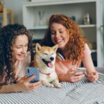 Female Dog Names That Start with C – Unique Choices