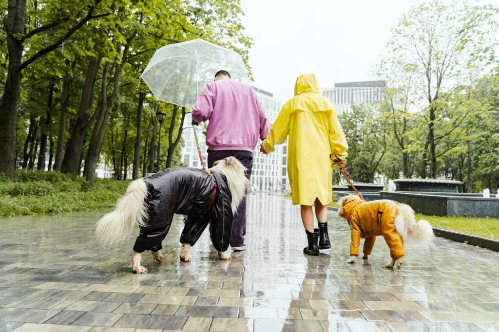 How Long Can Dogs Be in the Rain? Tips to Keep Your Dog Safe