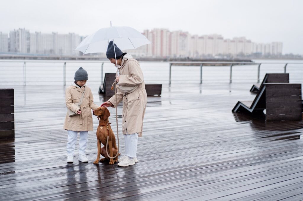 How Long Can Dogs Be in the Rain