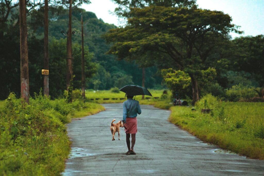 How Long Can Dogs Be in the Rain