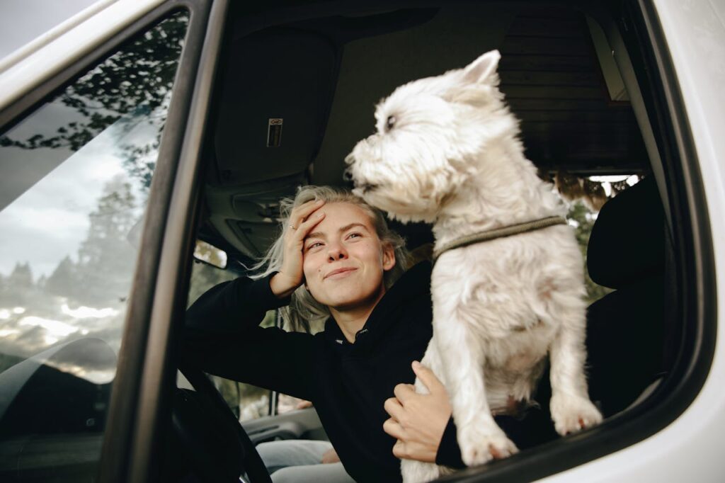 How Smart Is a West Highland White Terrier