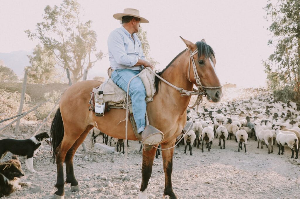 How to Train a Dog to Herd